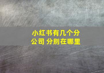 小红书有几个分公司 分别在哪里